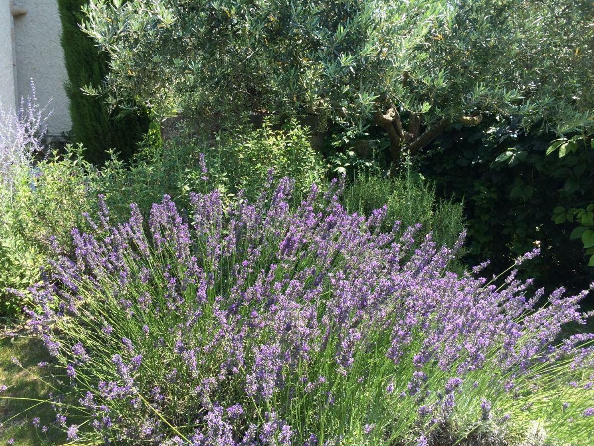 Le Mazet Des Joncs En Provence Villa Saint-Pierre-de-Vassols Exterior foto